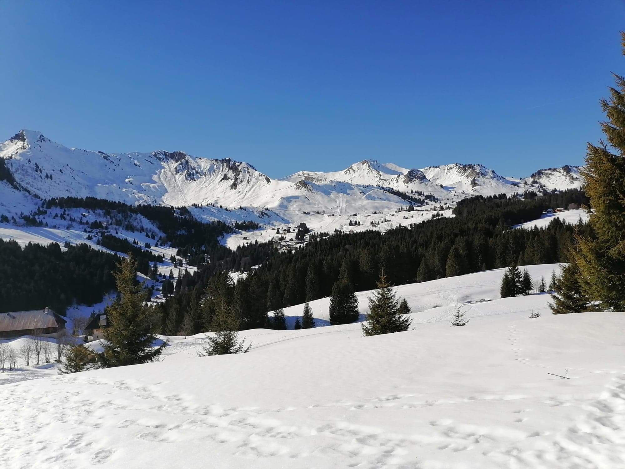 Photo n° 25 de l'avis de Lydia.o fait le 29/02/2020 à 19:49