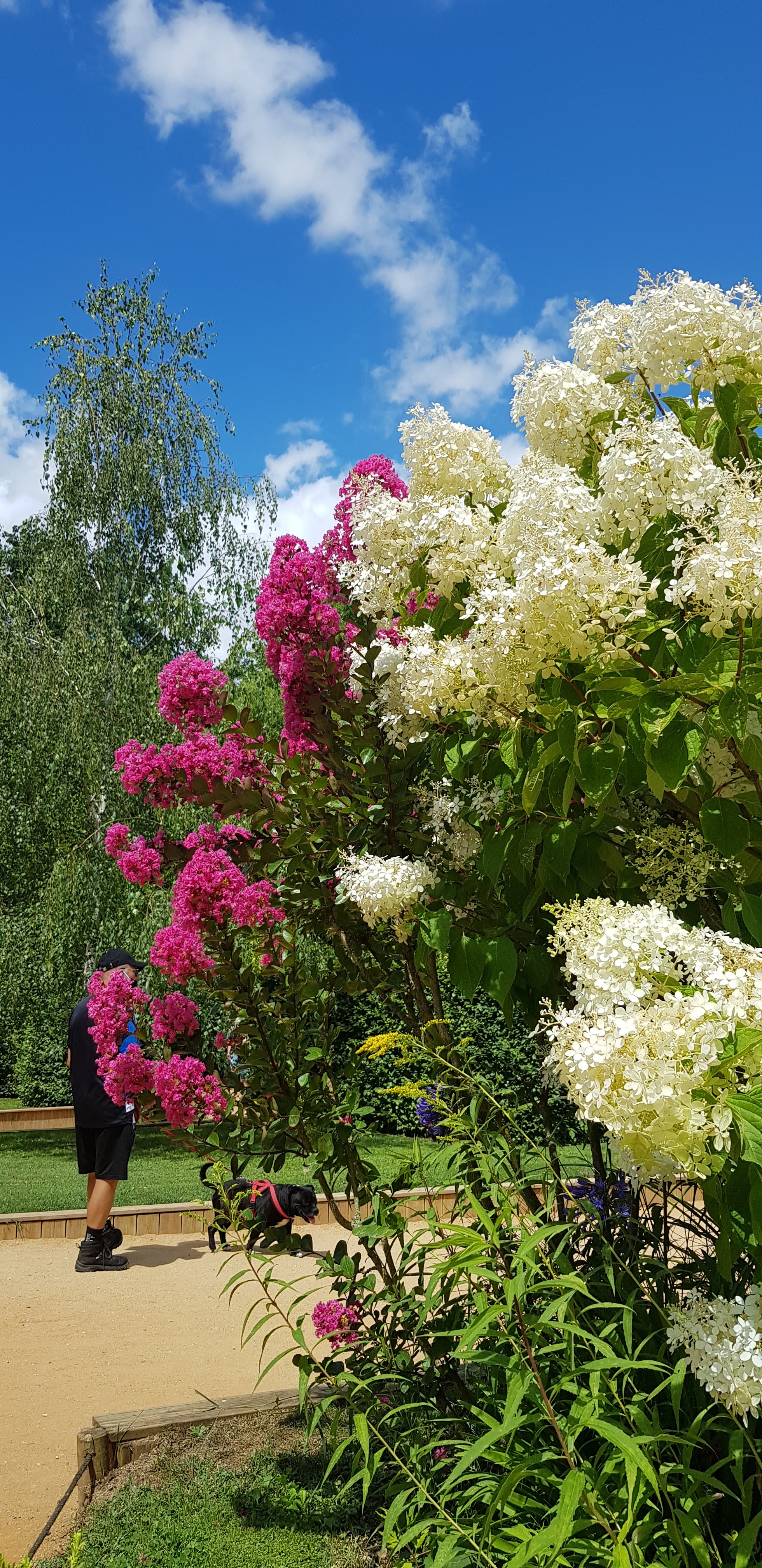 Photo n° 33 de l'avis de marie.e fait le 26/07/2020 à 16:42