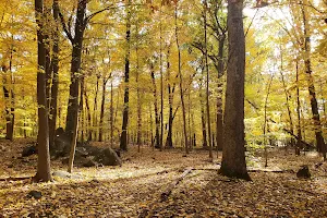 Tenafly Nature Center image