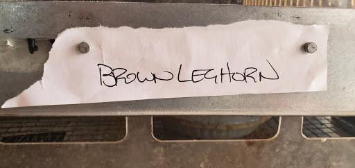 Animal Feed Store «Mid-County Farm & Feed Supply», reviews and photos, 128 S Twin City Hwy, Nederland, TX 77627, USA