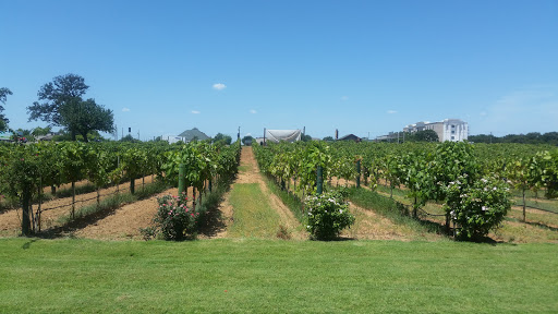 Winery «Delaney Vineyards», reviews and photos, 2000 Champagne Blvd, Grapevine, TX 76051, USA