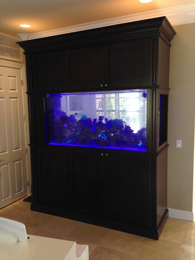 Pet Store «Tanks A Lot Aquariums», reviews and photos, 6680 Lantana Rd, Lake Worth, FL 33467, USA