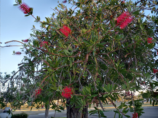 Funeral Home «Greenwood Memorial Park & Mortuary», reviews and photos, 4300 Imperial Ave, San Diego, CA 92113, USA