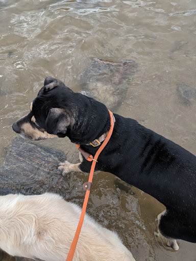 Park «Confluence Park», reviews and photos, 2250 15th St, Denver, CO 80202, USA