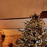 Photo n°1 de l'avis de Elisa.e fait le 03/01/2022 à 12:55 sur le  Hosteria Il Grottino à Gualdo Cattaneo