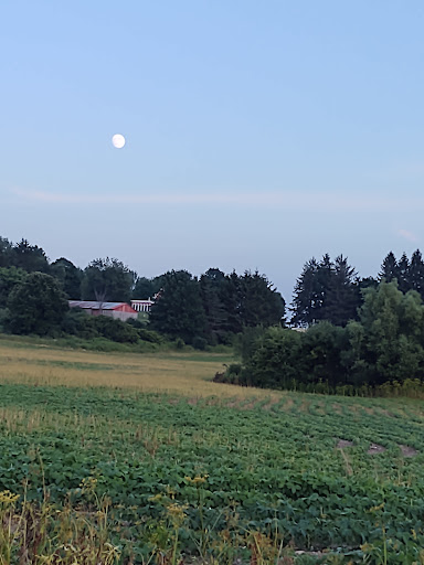 Campground «Cooperstown KOA», reviews and photos, 565 Ostrander Rd, Richfield Springs, NY 13439, USA