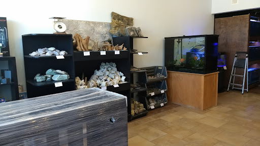 Aquarium «Aquarium Advantage», reviews and photos, 2995 Preston Rd #1520, Frisco, TX 75034, USA