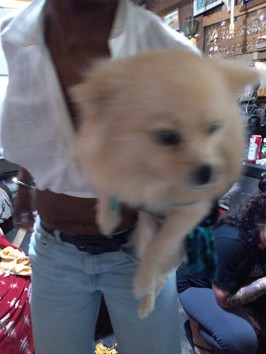 Pet Supply Store «Mini Pet Mart», reviews and photos, 1999 Main St, Springfield, OR 97477, USA