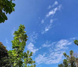 Parks Agro Tourism Cilangkap photo