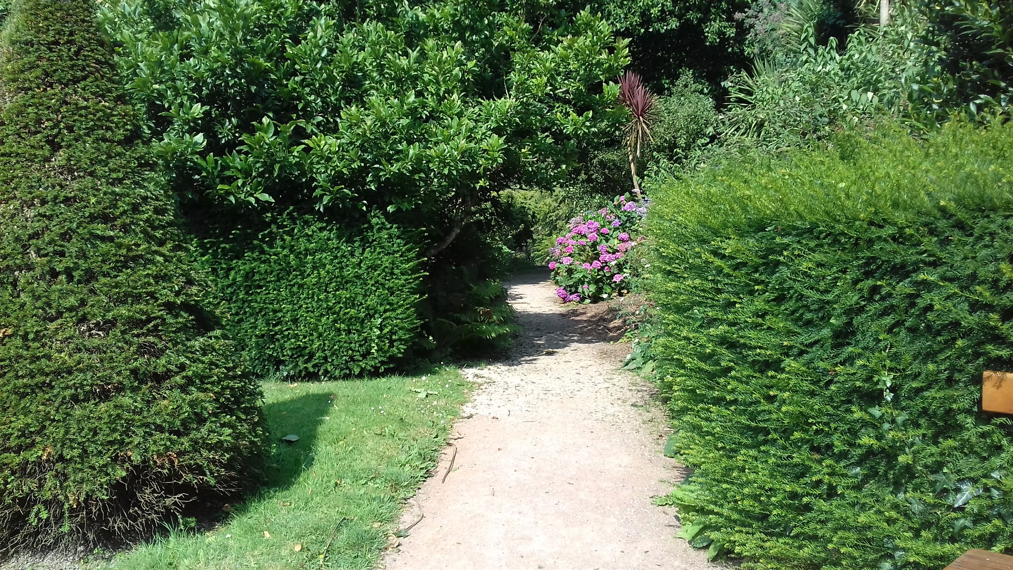 Photo n° 6 de l'avis de Cédric. fait le 02/08/2019 à 11:08