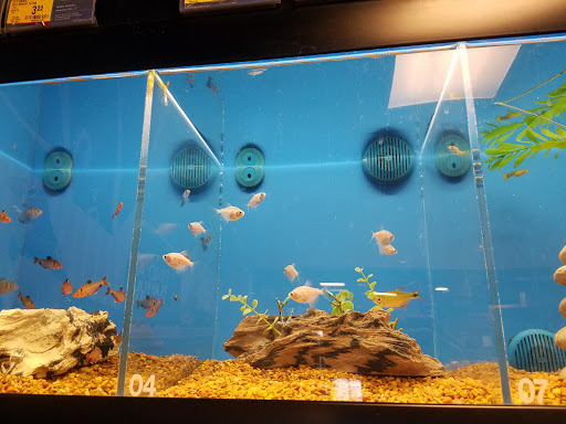 Pet Supply Store «PetSmart», reviews and photos, 3101 Market Center Drive, Morrisville, NC 27560, USA