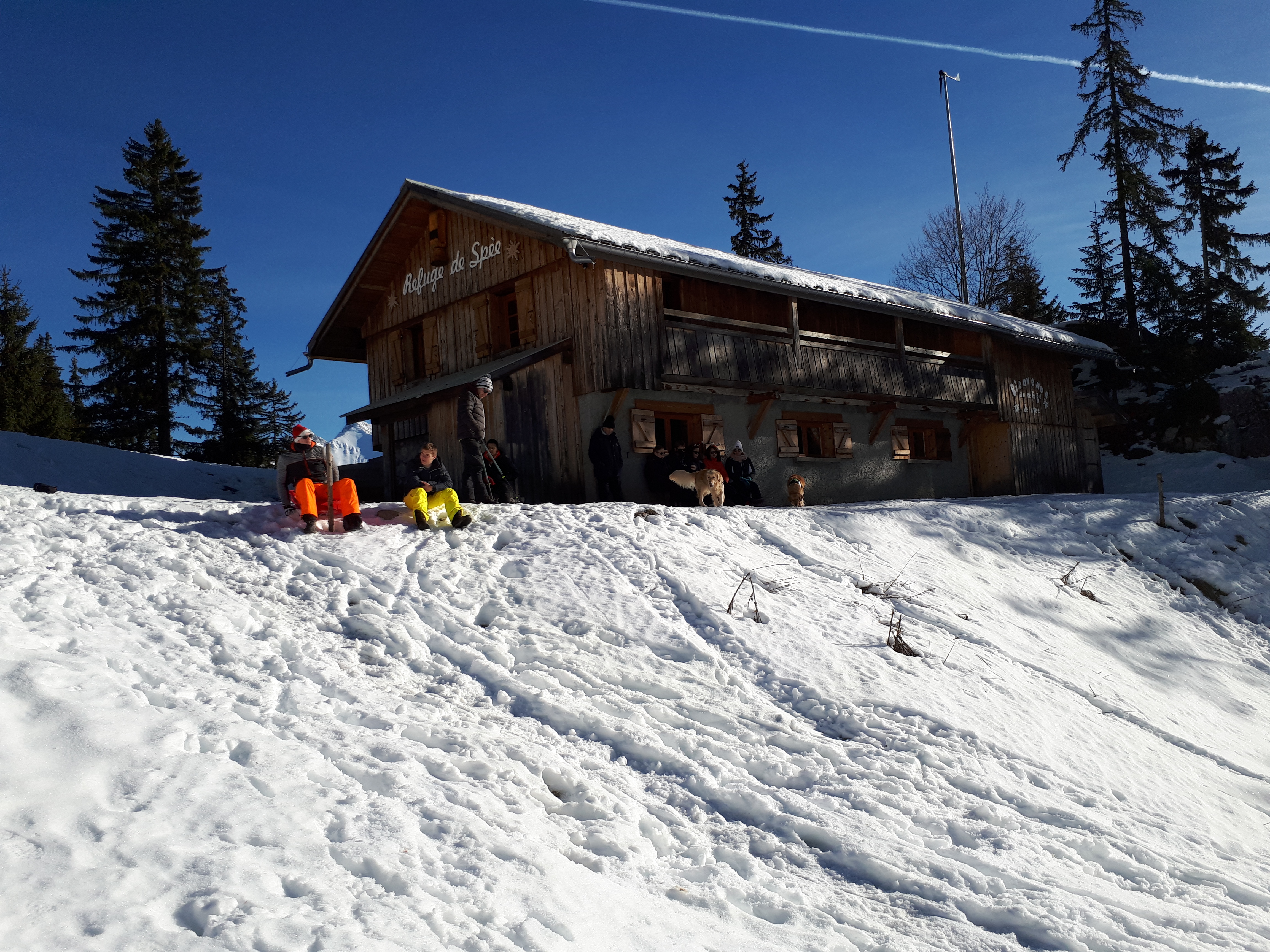 Photo n° 2 de l'avis de Laurence.a fait le 01/01/2019 à 22:07