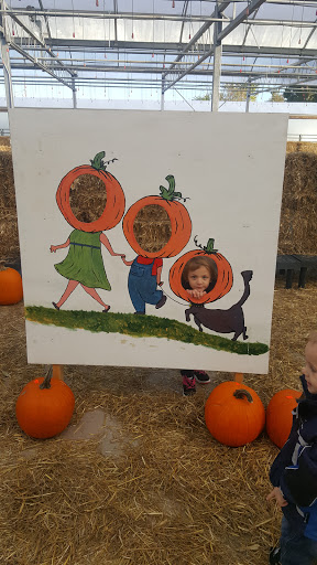 Garden Center «Walker Farms», reviews and photos, 5253 E Atherton Rd, Burton, MI 48519, USA