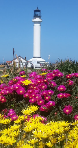 Museum «Point Arena Lighthouse and Museum», reviews and photos, 45500 Lighthouse Rd, Point Arena, CA 95468, USA