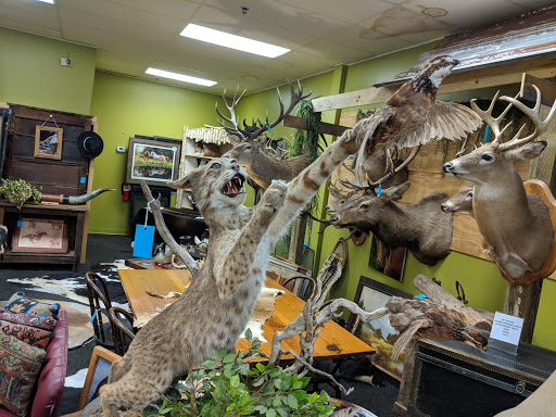 Shopping Mall «Marketplace at Ocala Shopping Ctr», reviews and photos, 4407 NW Blitchton Rd, Ocala, FL 34482, USA