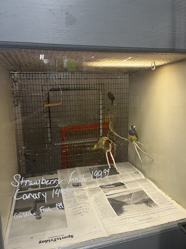 Pet Store «Sierra Fish and Pets», reviews and photos, 601 S Grady Way Suite M, Renton, WA 98057, USA