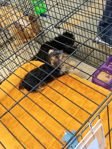 Pet Supply Store «Pet Ranch», reviews and photos, 3823 E 120th Ave, Denver, CO 80233, USA