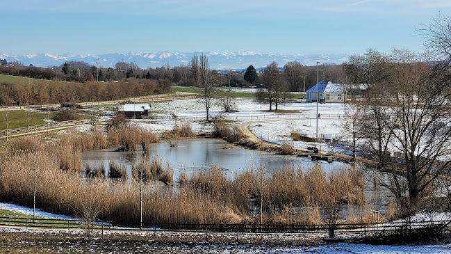 Kommentare und Rezensionen über ZfP Reichenau, Sportplatz ("Ententeicharena")