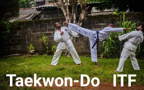 Sri Lanka Taekwon-Do Association image