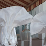 Photo n°25 de l'avis de Fabrizio.o fait le 14/07/2021 à 05:40 sur le  Ristorantino La Papessa à Castelcerino