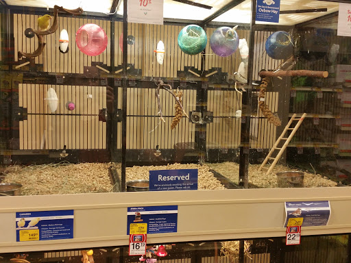 Pet Supply Store «PetSmart», reviews and photos, 150 Lincoln Square, Arlington, TX 76011, USA