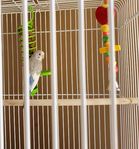 Pet Supply Store «PetSmart», reviews and photos, 2828 Campus Pkwy, Riverside, CA 92507, USA