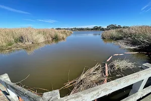 Buena Vista Lagoon Nature Center image