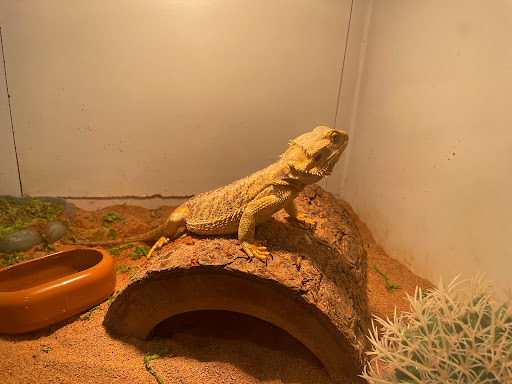 Pet Store «Miles of Exotics», reviews and photos, 8350 N Broadway, Kansas City, MO 64118, USA