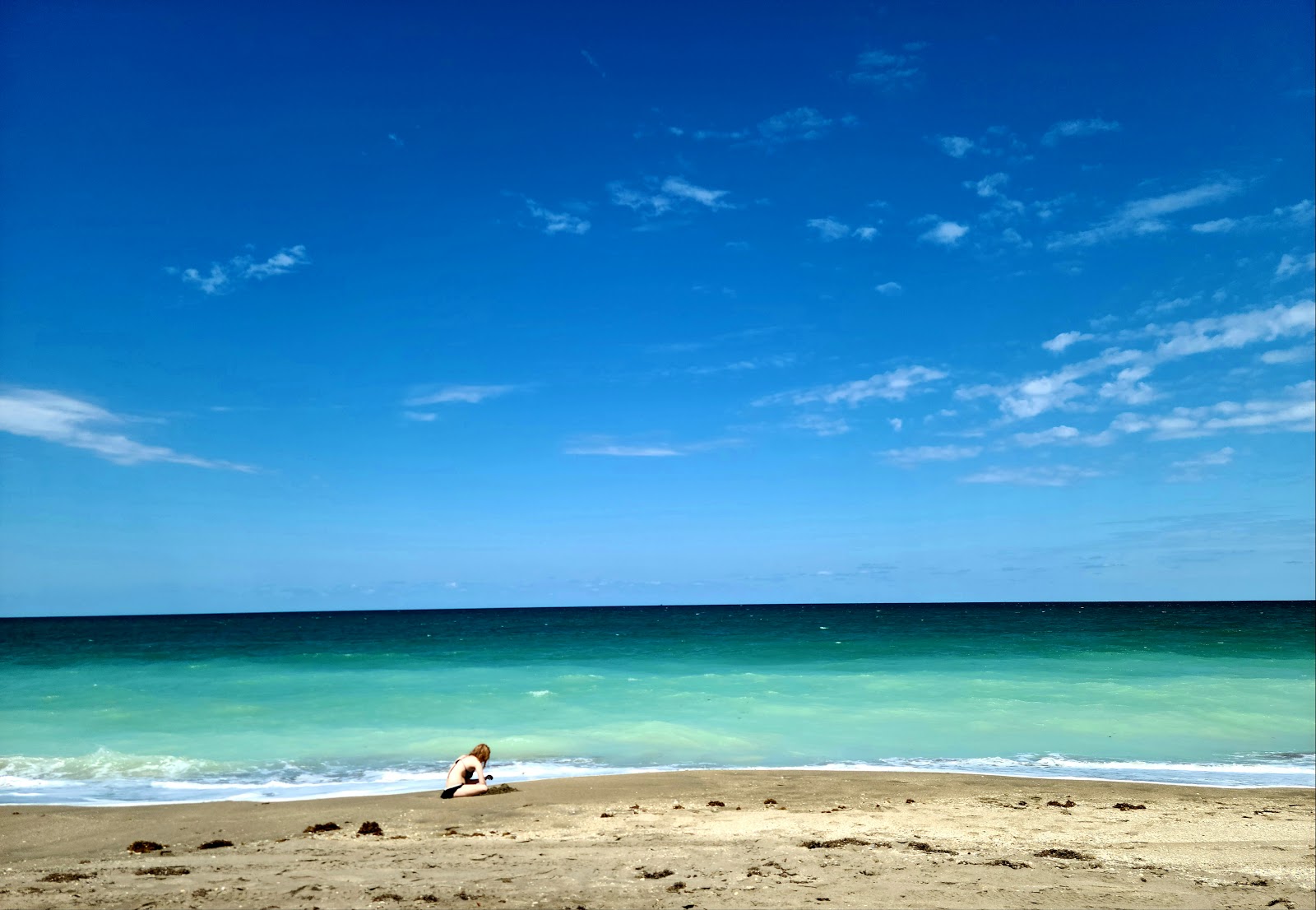 Zdjęcie Blue Heron beach z proste i długie
