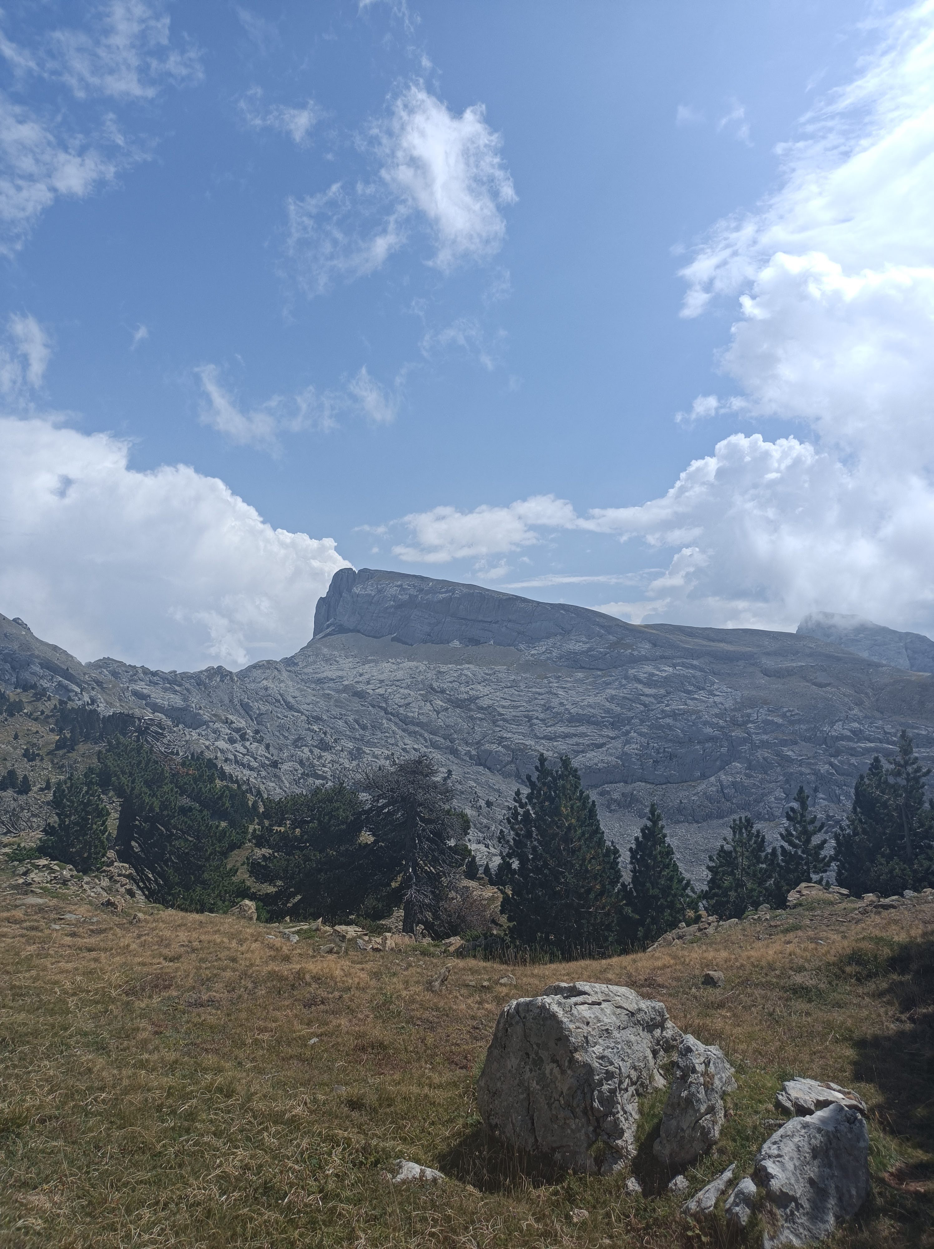 Photo n° 3 de l'avis de Miguel.a fait le 30/08/2022 à 15:51