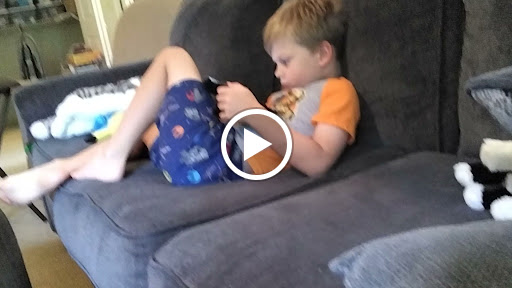 Local History Museum «Historic Travellers Rest Plantation & Museum», reviews and photos, 636 Farrell Pkwy, Nashville, TN 37220, USA