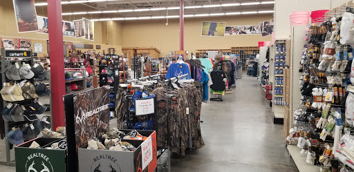 Pet Supply Store «Shoppers Supply», reviews and photos, 1477 Apache Trail, Apache Junction, AZ 85120, USA