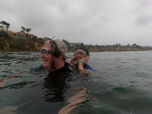 Sporting Goods Store «La Jolla Swim and Sport», reviews and photos, 1008 Torrey Pines Rd, La Jolla, CA 92037, USA