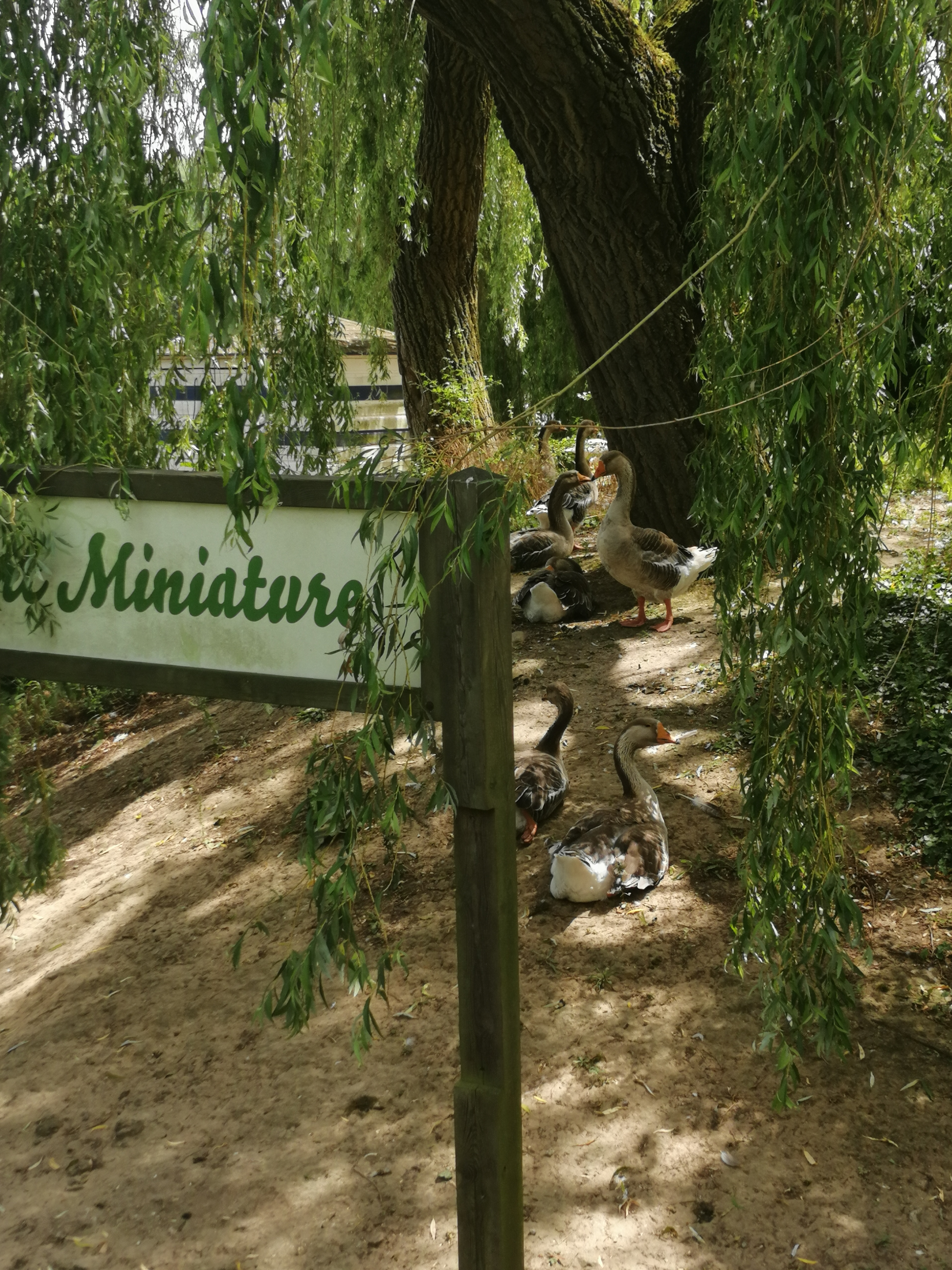 Photo n° 3 de l'avis de Nadhia.a fait le 20/06/2022 à 13:17