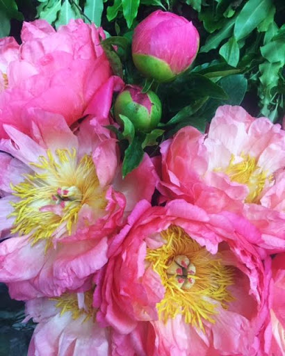 Florist «G Rossi Florist», reviews and photos, 1208 J St, Sacramento, CA 95814, USA