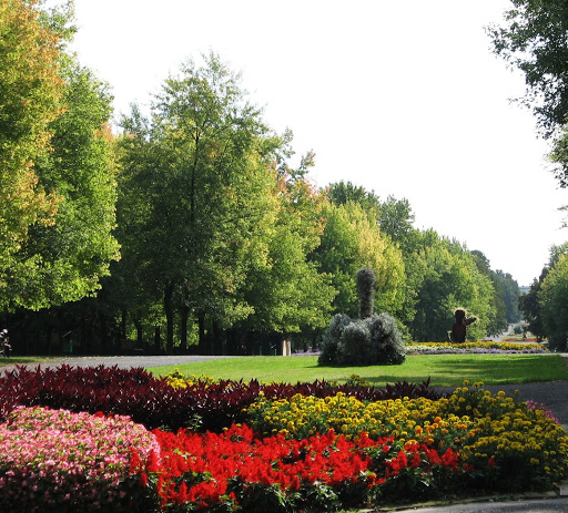 Garden at Katowice