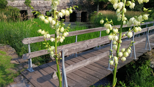 Park «Oliver Mill Park», reviews and photos, Nemasket St, Middleborough, MA 02346, USA