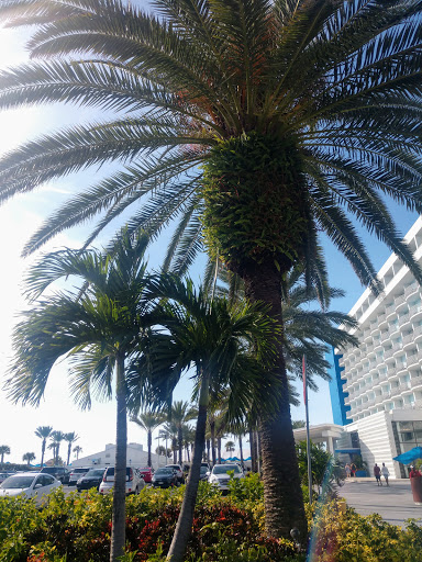 Gift Shop «Beach Bazaar», reviews and photos, 401 Mandalay Ave, Clearwater, FL 33767, USA