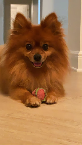 Tobacco Shop «METROWEST SMOKE SHOP ECIGARETTE», reviews and photos, 2434 S Kirkman Rd, Orlando, FL 32811, USA