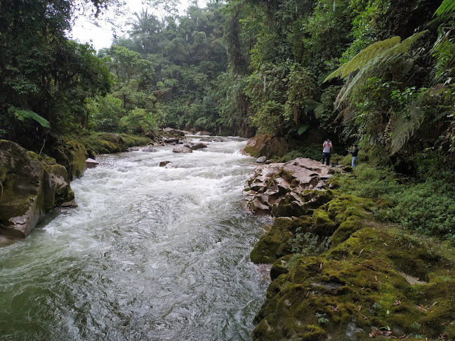 Podocarpus National Park - Loja