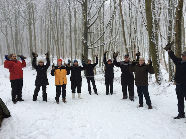 Kommentarer og anmeldelser af Specialfys