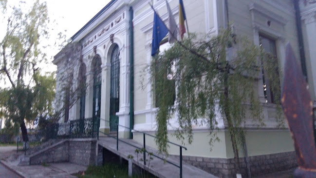 Comentarii opinii despre Oficiul Registrului Comerțului de pe lângă Tribunalul Botoșani