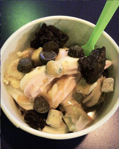 Frozen Yogurt Shop «Yogurt Mountain», reviews and photos, 1801 W Tennessee St #2, Tallahassee, FL 32304, USA