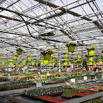 Photo n°2 de l'avis de Thomas.. fait le 09/03/2019 à 15:48 sur le  Gartencenter Rosengut Langerwisch GmbH&Co.KG à Michendorf