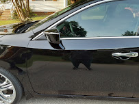 Classic Collision - Photo 9 - Car repair in Burlington, NC, Burlington