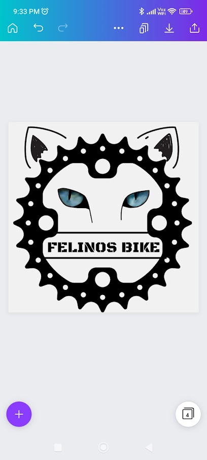Felinos_bike