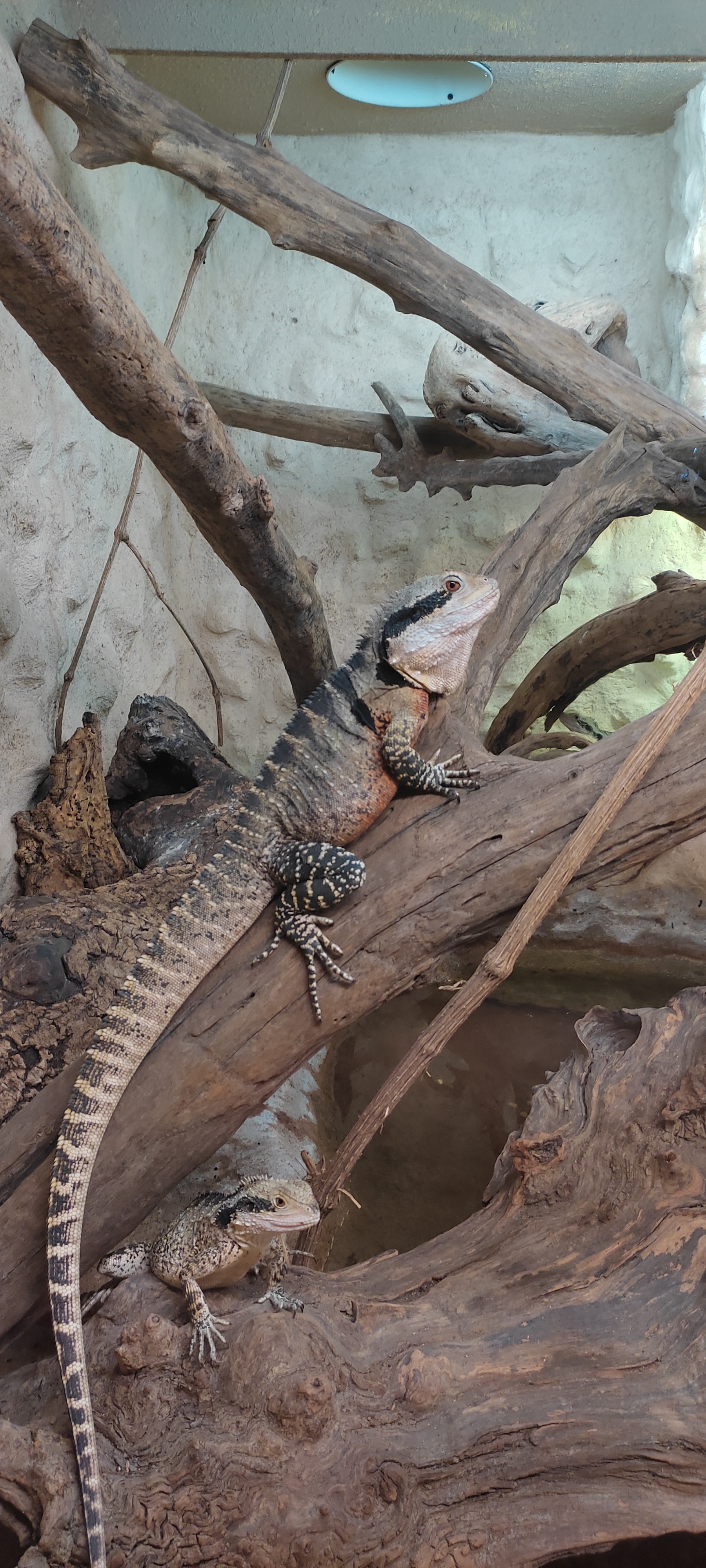 Photo n° 4 de l'avis de Astrid.i fait le 17/09/2021 à 13:14