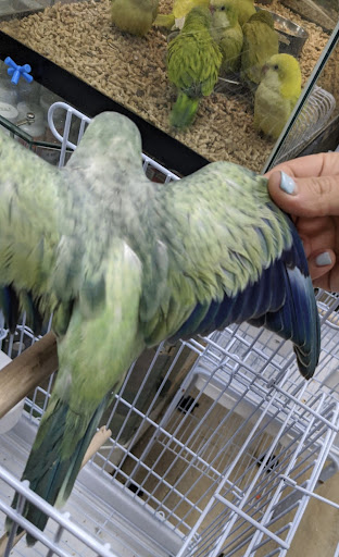 Pet Supply Store «Neighborhood Pet Shop», reviews and photos, 574 Hialeah Dr, Hialeah, FL 33010, USA