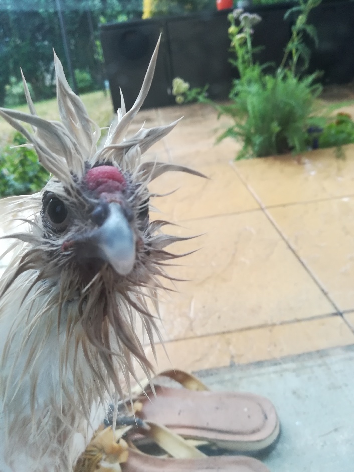 Photo n° 1 de l'avis de FLF. fait le 26/08/2017 à 17:53