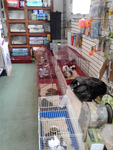 Pet Store «Pets World», reviews and photos, 147 Bridge St, Weymouth, MA 02191, USA